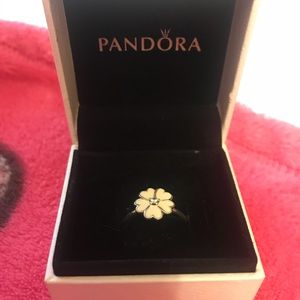 Pandora Ring